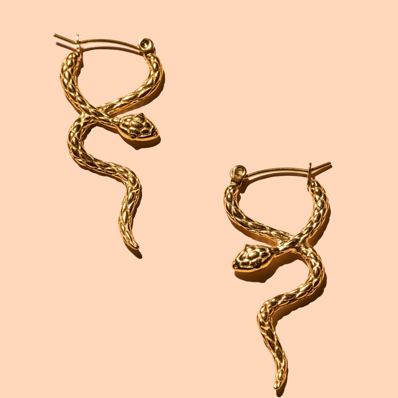 Coil Hoops