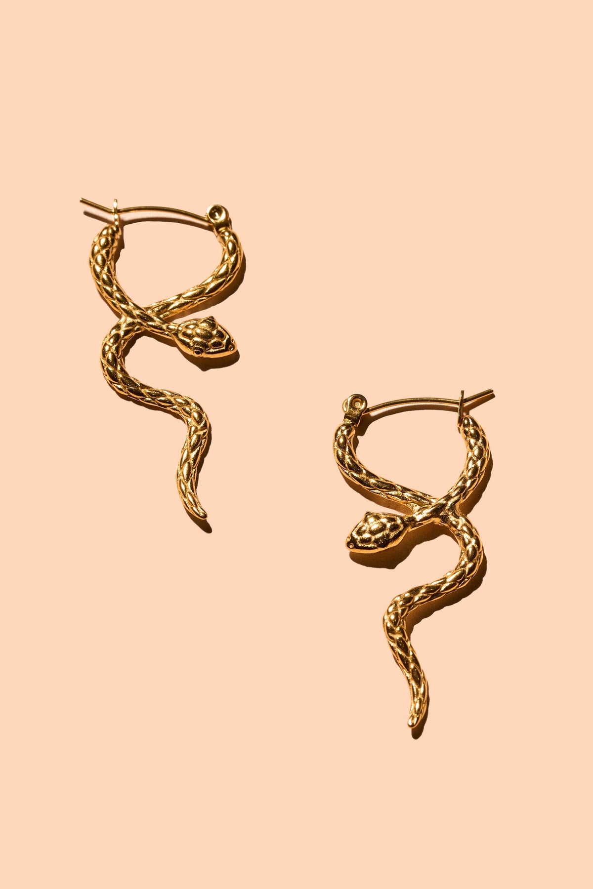Coil Hoops