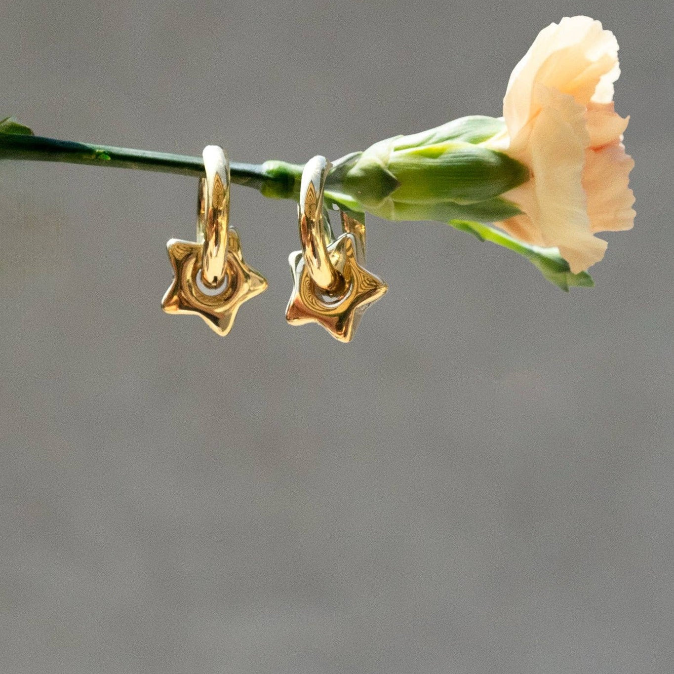 Estrella Hoops