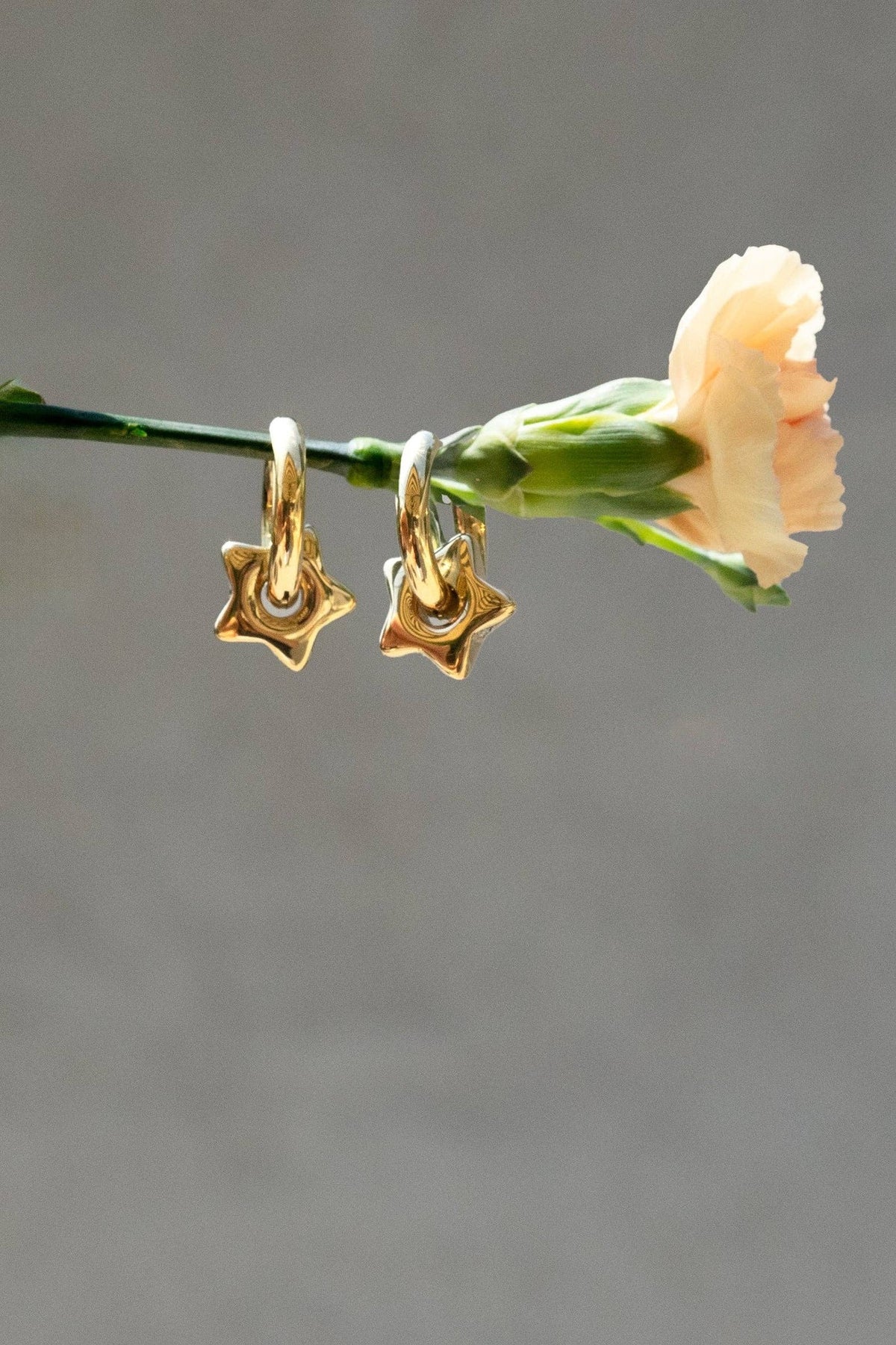 Estrella Hoops