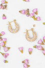 Shimmer Mini Hoops