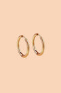 Everyday Huggie Hoops