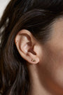 Shimmer Paw Studs
