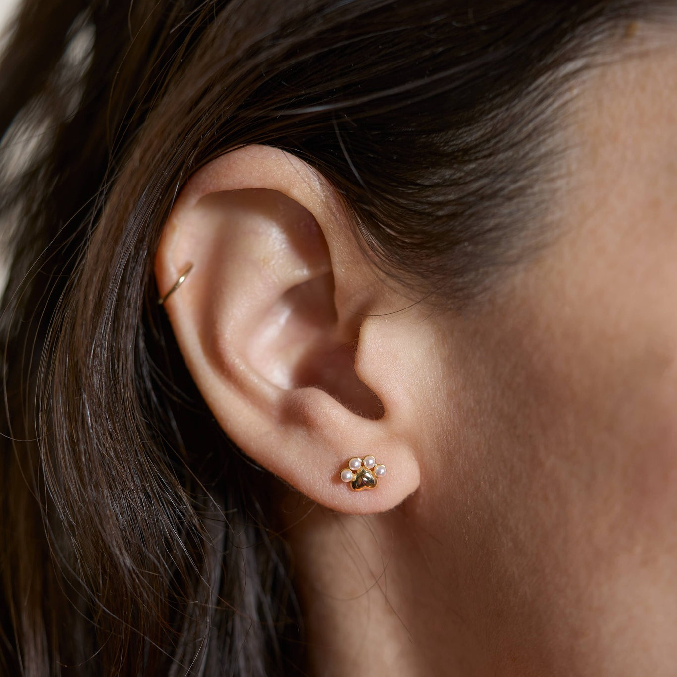 Shimmer Paw Studs