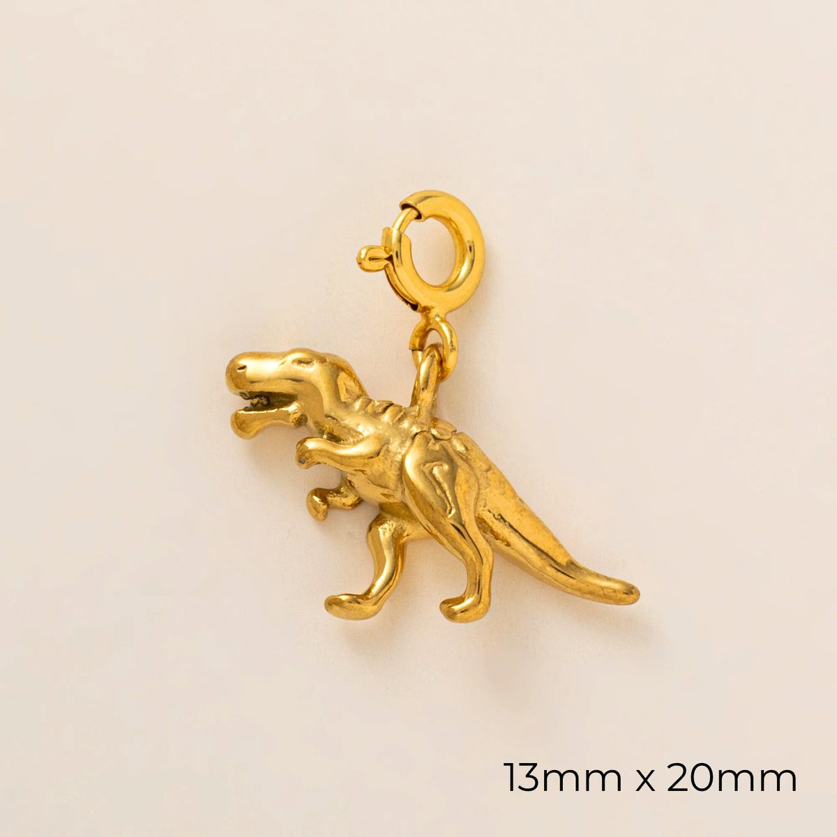 Animal Charms