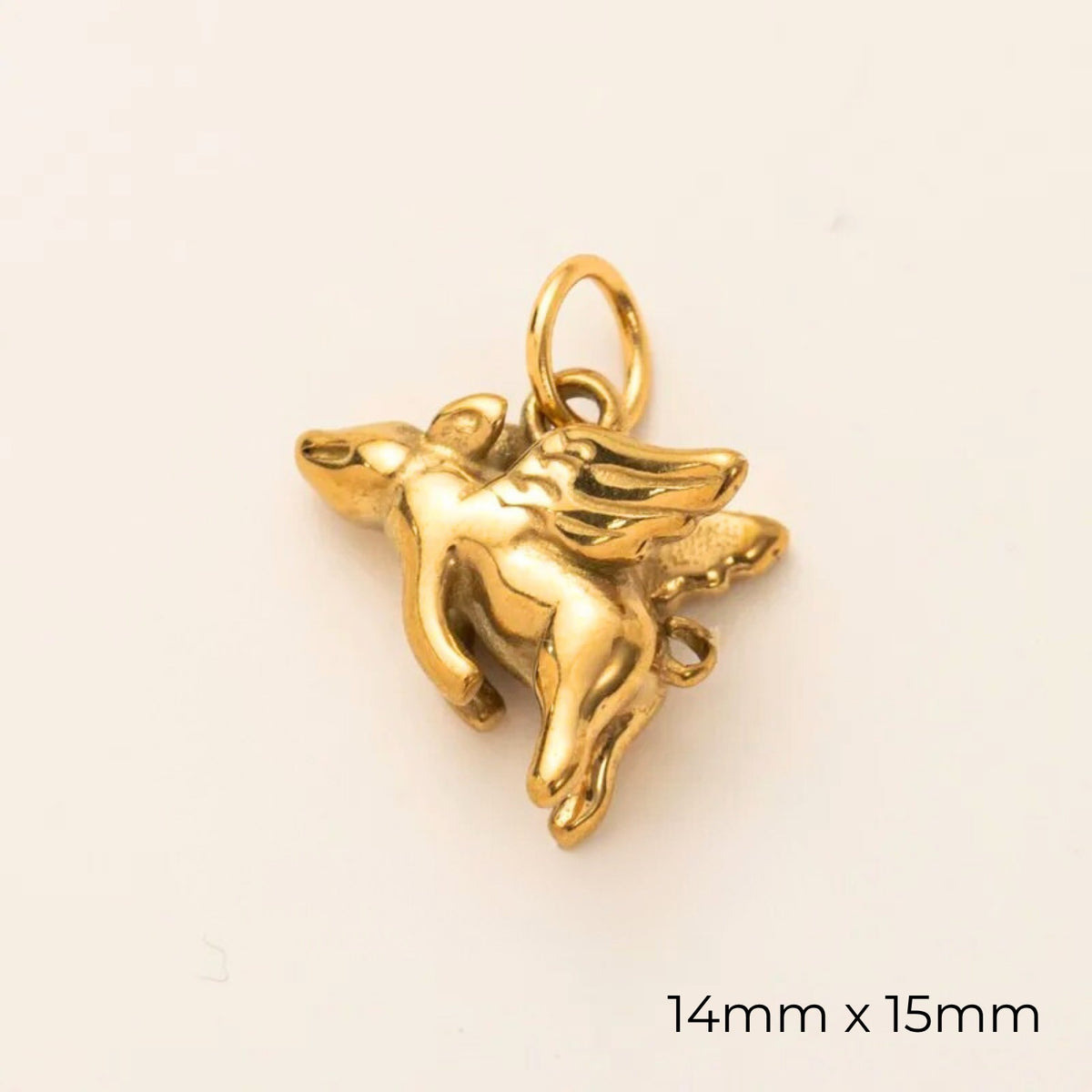 Animal Charms