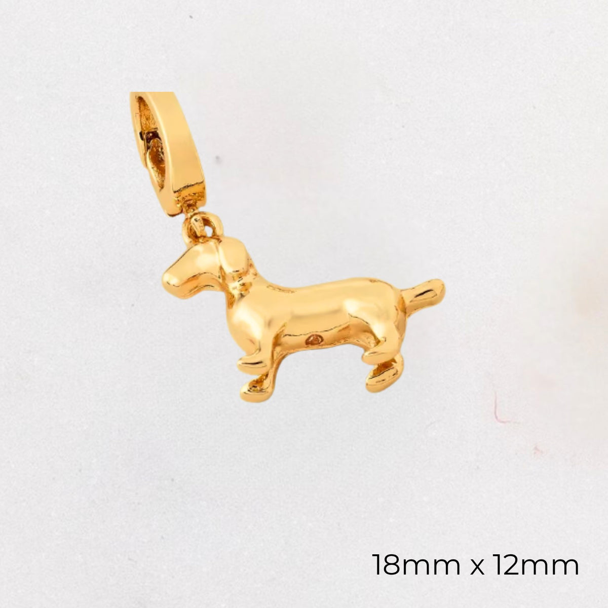 Animal Charms