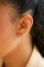Whale Tail Hoops
