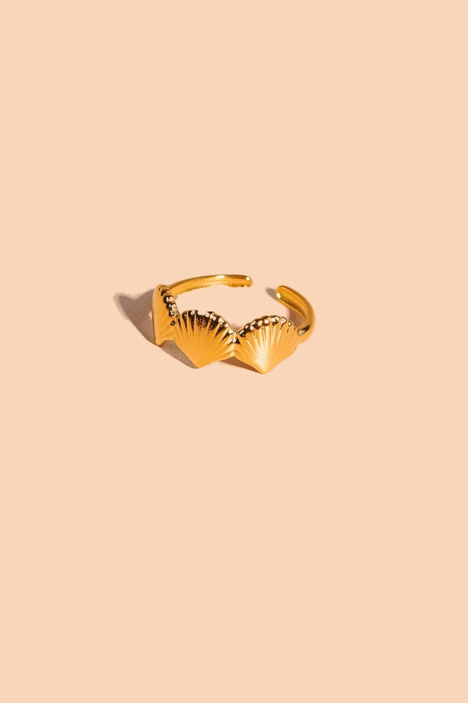 Son of a Beach Ring
