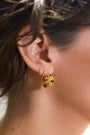Kristen Hoops