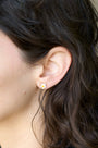 Dollop of Daisy Studs